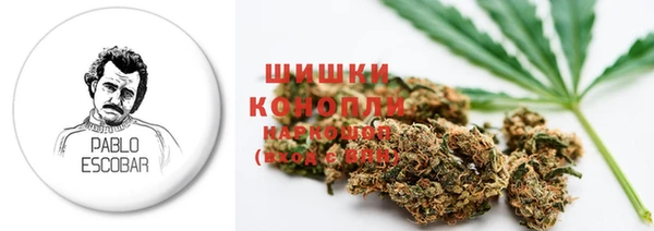 кокс Алзамай