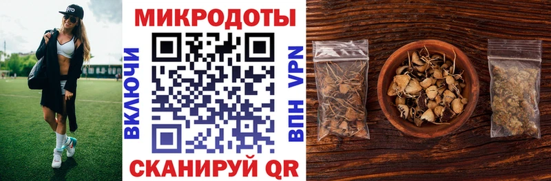 где можно купить   Мураши  Псилоцибиновые грибы MAGIC MUSHROOMS 