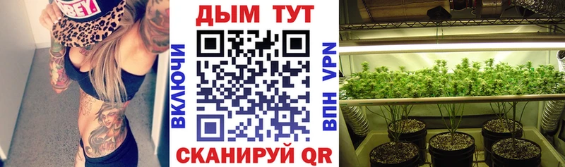 Бошки Шишки ГИДРОПОН  Мураши 